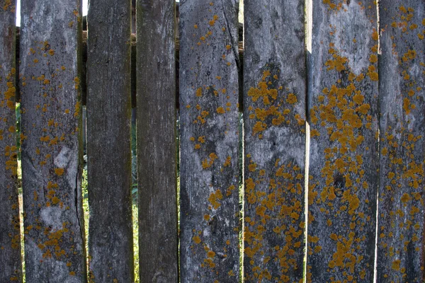 Old fence — Stock Photo, Image