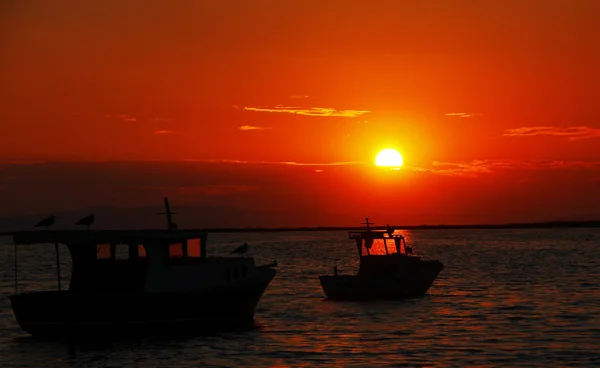 Bateaux dans la nuit — Photo