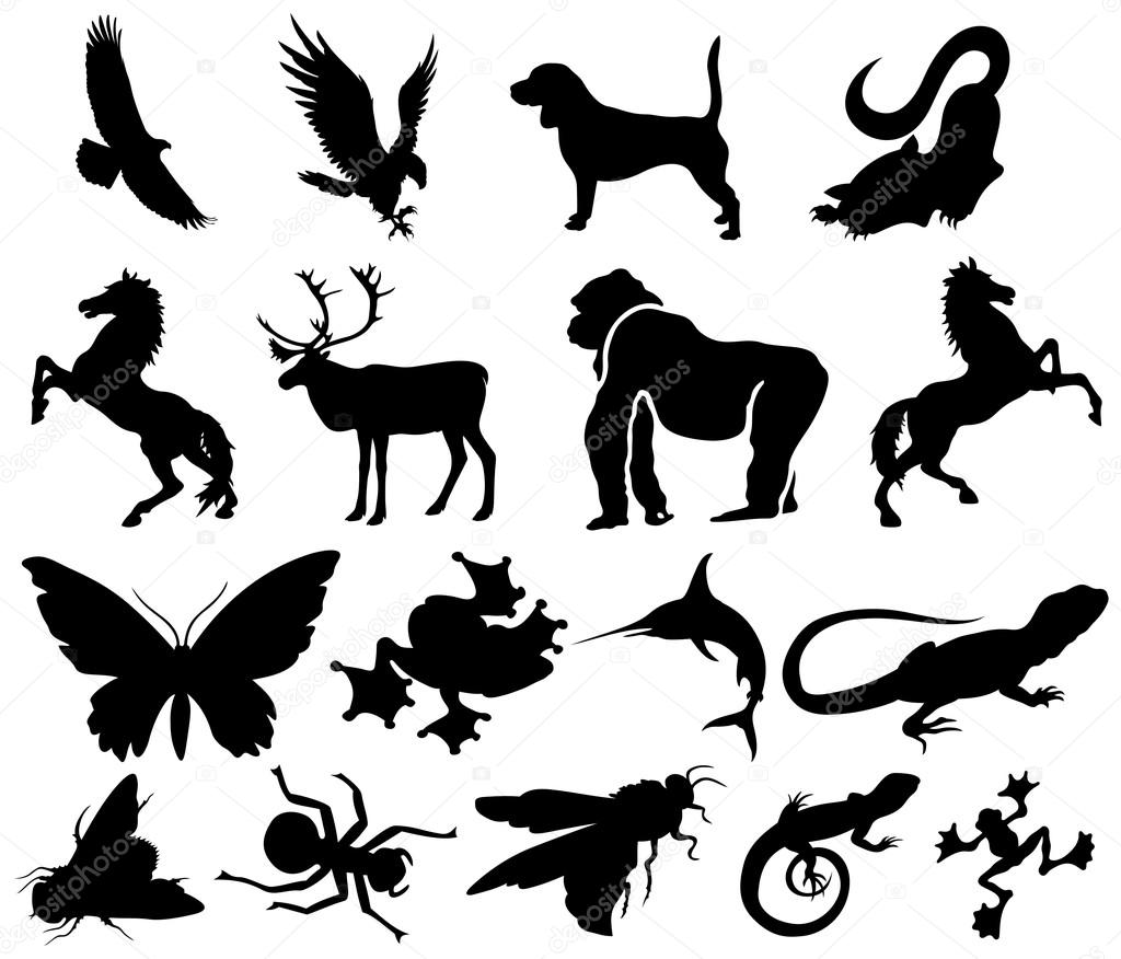 Set animal silhouettes
