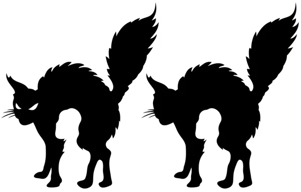 Angry cat silhouette — ストックベクタ