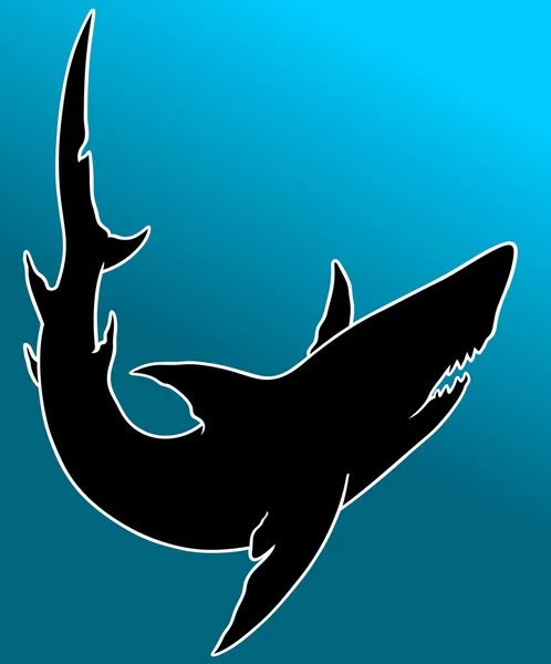 Animal black art silhouette shark vector — Stock Vector