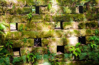 Sarmaşıklı eski tuğla duvar, gezegende güzel bir yer..