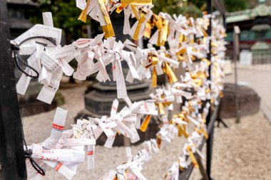 Tokyo şehri, Japonya-13 Aralık 2024: İnsanların tahmin yapmak için kullandığı Omikuji 'nin görüntüsü. Eğer kehanet kötüyse, kötü şansı defetmek için tapınağa bırakılır. Japonya 'daki türbelerde bulunabilir.