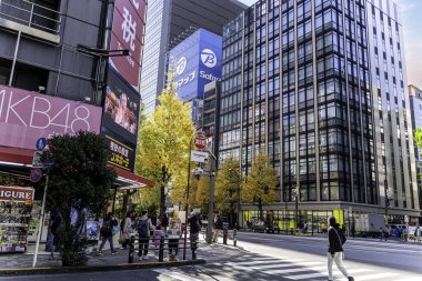 Tokyo şehri, Japonya-11 Aralık 2024: Japon otaku kültürünün merkezi ve canlı elektroniği ile ünlü Tokyo, Japonya 'daki iş binaları ile Akihabara' nın kapalı şehir manzarası
