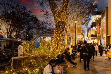 Tokyo Şehri, Japonya-12 Aralık 2024: Omotesando Caddesi, Harajugu bölgesinde sonbaharda yaşam tarzı olan bir gece manzarası. Bu bölge Tokyo 'da lüks butikleriyle tanınan şık bir cadde..