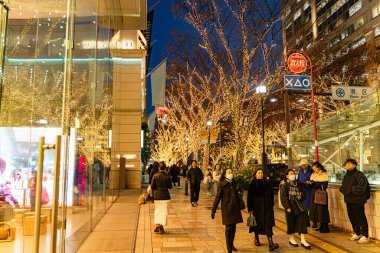 Tokyo Şehri, Japonya-12 Aralık 2024: Omotesando Caddesi, Harajugu bölgesinde sonbaharda yaşam tarzı olan bir gece manzarası. Bu bölge Tokyo 'da lüks butikleriyle tanınan şık bir cadde..