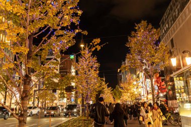Osaka şehri, Japonya -09 Aralık 2024: Sonbaharda insanların yaşam tarzına sahip ağaçlara gece manzarası ve dekoratif aydınlatma.