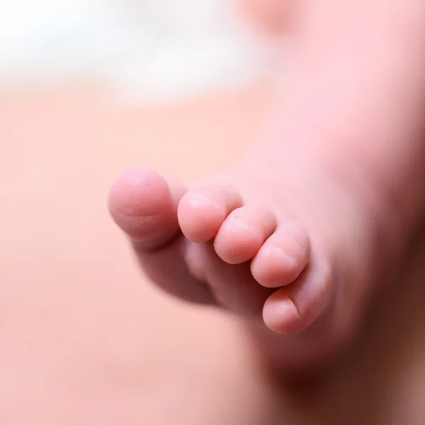 Yeni doğan bebeğin minik ayak — Stok fotoğraf