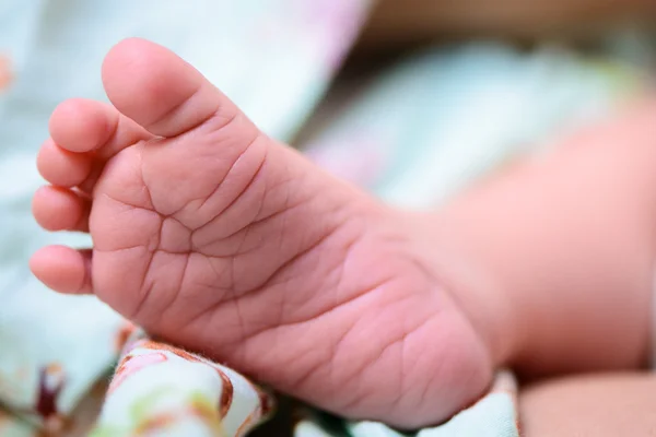 Pé pequeno de bebê recém-nascido — Fotografia de Stock