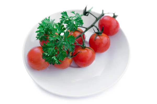 Tomater och persilja twig — Stockfoto