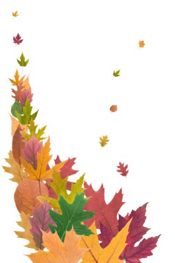 sonbahar yaprakları bileşimi