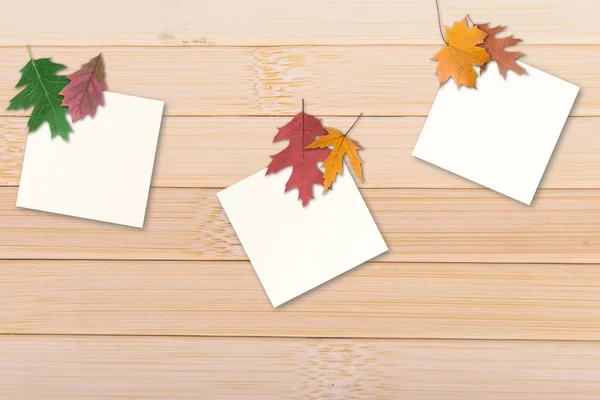 Hojas de otoño con papel — Foto de Stock