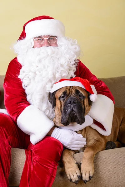 Babbo Natale con cane — Foto Stock