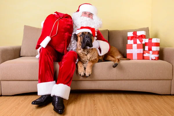 Санта-Клаус с собакой — стоковое фото