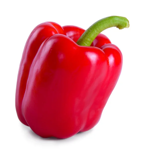 Vegetable pepper isolated — Stock Photo, Image