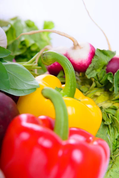 Olika mogna grönsaker — Stockfoto
