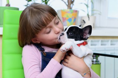 Bulldog köpek yavrusu ile kız 