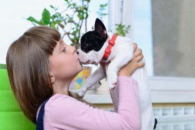 Bulldog köpek yavrusu ile kız