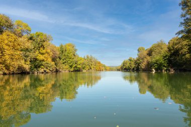 Sonbahar mevsiminde sarı yapraklı sakin bir nehir