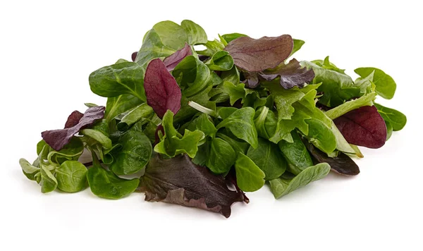 Fresh Green Salad White Background — Stock Photo, Image