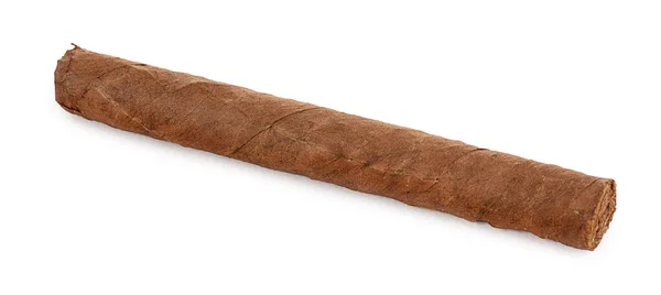 Cigar Inte Rökt Vit Bakgrund — Stockfoto