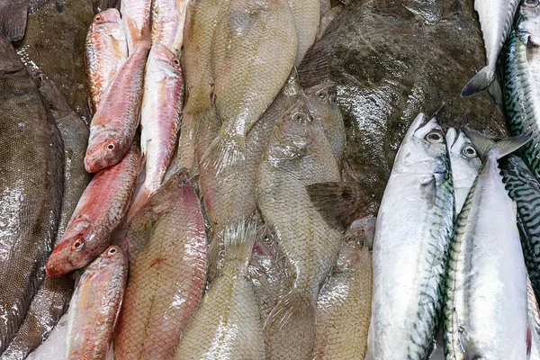Fresh Fish Red Mullet Flounder Mackerel Fishmonger Stall — стоковое фото