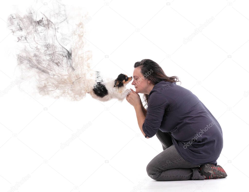 Chihuahua that dies in the hands of his master and flies away in smoke on a white background.
