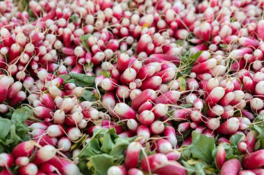 Piyasada bir yığın turp