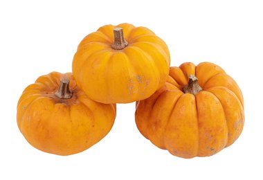 Küçük Jack, beyaz arka planda portakal ezmesi