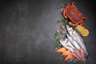 Siyah bir zemin üzerinde yazmak için alanı olan birkaç balık, yengeç ve kabuk.