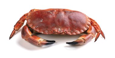 Beyaz arka planda güzel kesilmiş yengeç keki.