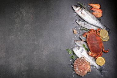 Siyah bir zemin üzerinde çeşitli balıklar, yengeçler ve kabuklar yazmak için yer var.