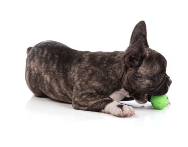 Beyaz bir arka planda güzel emaye kaplı ve işlenmemiş bir kase.