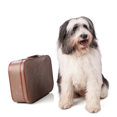 Beyaz bir arka planda güzel emaye kaplı ve işlenmemiş bir kase.