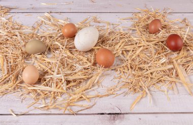 Çeşitli boyutlarda ve renkte yumurtalar ve ahşap bir masanın üzerinde saman.