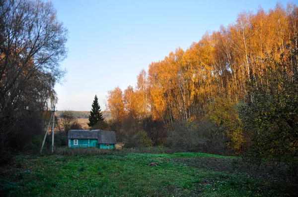 Eenzame houten huis in het berkenbos — Stockfoto