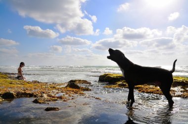 kadın ile köpek