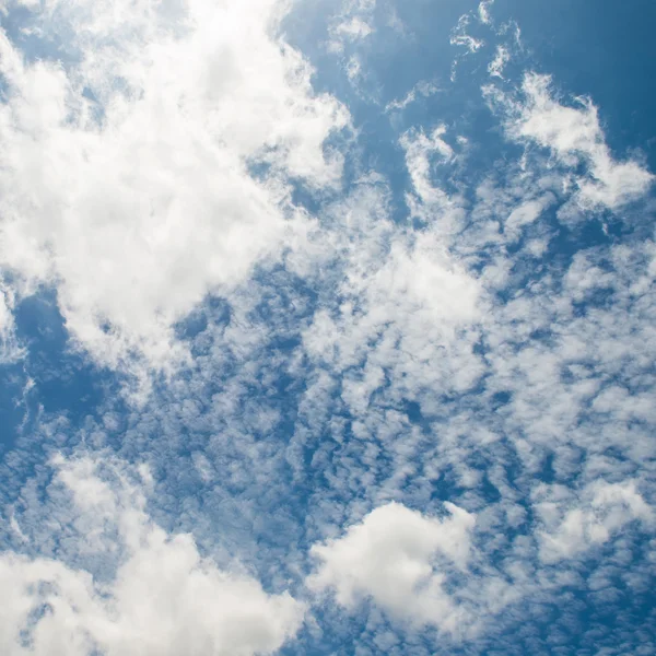 Cielo azul y nubes esponjosas blancas — Foto de Stock