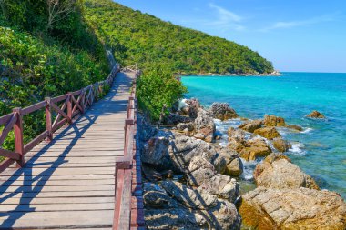 Ada, koh, tropikal bir plajda iskele lan ada Pattaya.