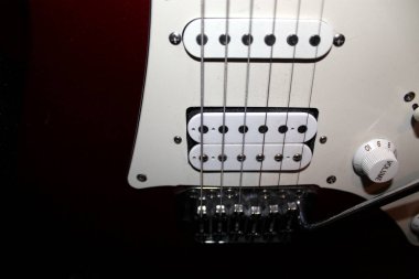 elektro gitar makro fotoğrafçılığı