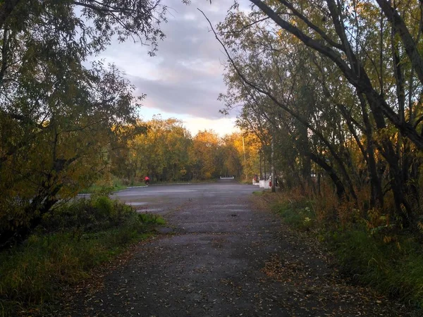 Осенняя тропа на закате пейзаж в парке — стоковое фото