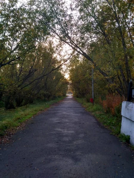 Осінній шлях на заході сонця в парку — стокове фото