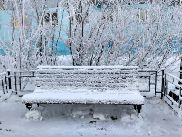 Gelé et froid dans la zone de loisirs d'hiver Nord de la Russie — Photo