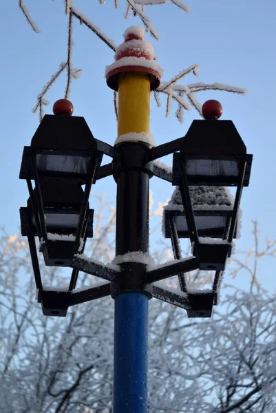 Lampadaires enneigés dans le parc au milieu de la région polaire hivernale contre le ciel bleu — Photo