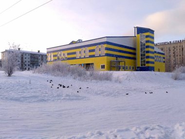 Rusya 'nın kuzey kentsel mimarisinin karlı ve karlı arazilerindeki ağaçlar