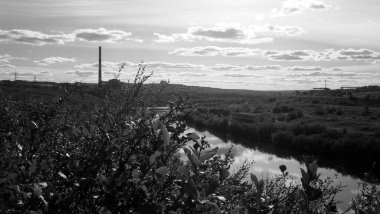 Ağaçların arasından nehir manzaralı yaz manzarası