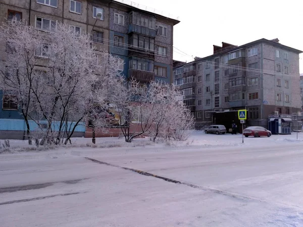 Árvores na geada de neve paisagens nevadas da cidade Norte da Rússia arquitetura urbana — Fotografia de Stock