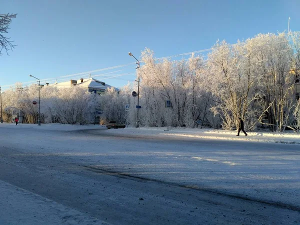 Árboles en las heladas de nieve paisajes nevados de la ciudad Norte de Rusia arquitectura urbana — Foto de Stock