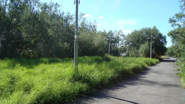 Área de recreo de las zonas verdes de la ciudad en el verano —  Fotos de Stock