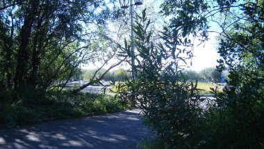 Ağaçlardaki yeşil yapraklar ve çiçeklerin arasından yılın güneş ışığı sızıyor, yaz kentsel gelişimi